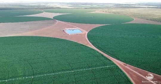 Fazenda, 957 hectares - Foto 1