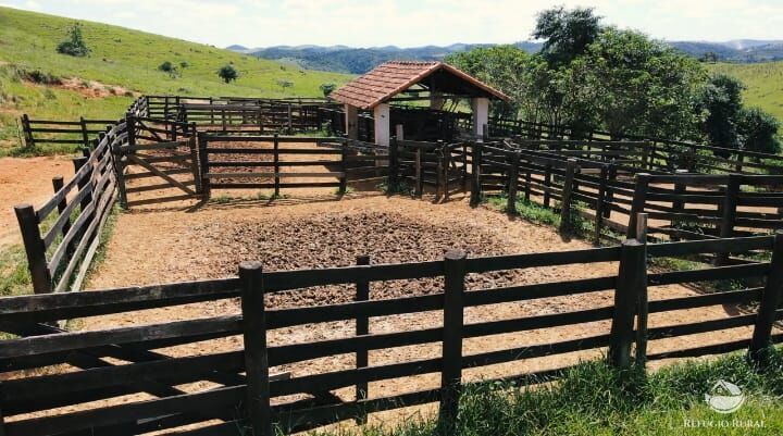 Fazenda à venda com 2 quartos, 3161000m² - Foto 8