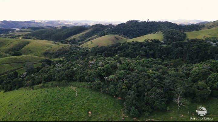 Fazenda à venda com 2 quartos, 3161000m² - Foto 11