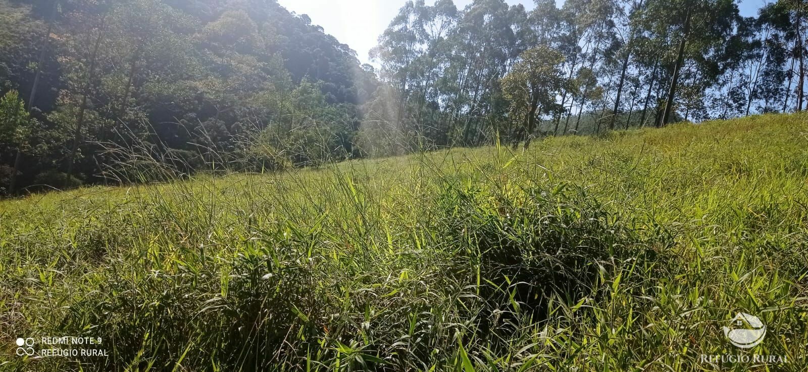 Fazenda à venda com 1 quarto, 43900m² - Foto 27