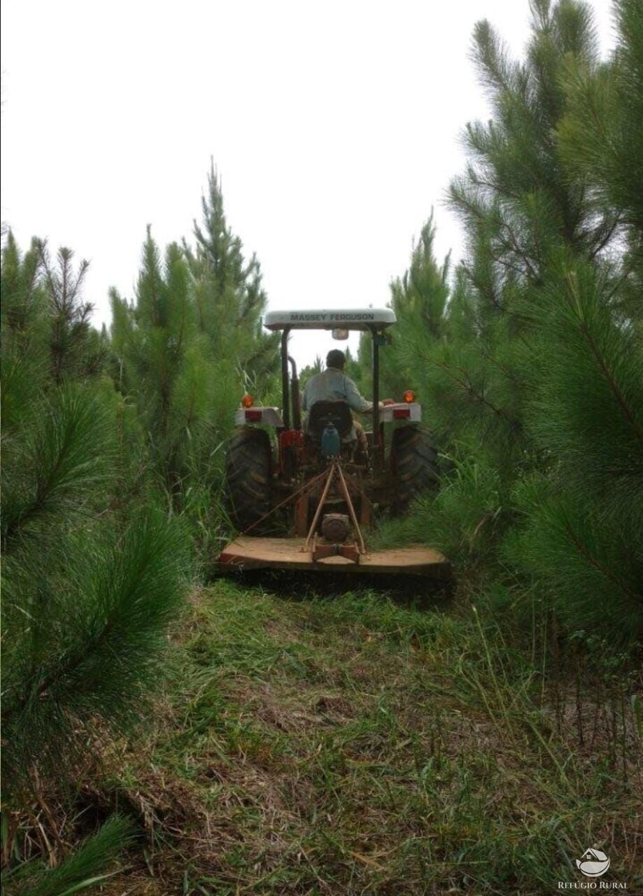 Fazenda à venda com 4 quartos, 3702600m² - Foto 11