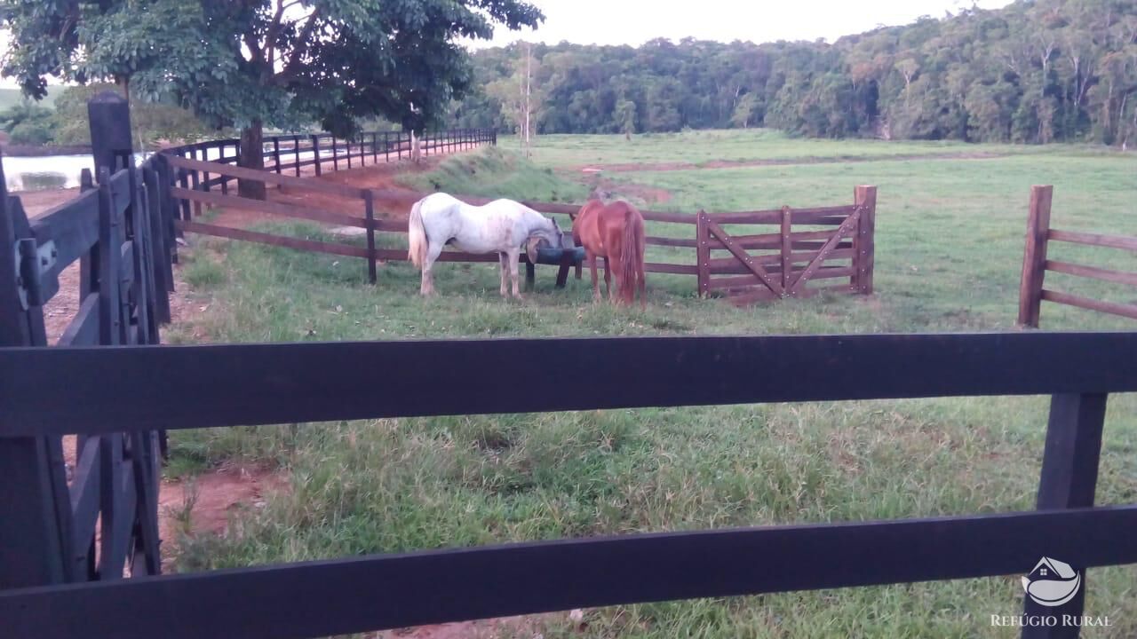 Fazenda à venda com 4 quartos, 3702600m² - Foto 15