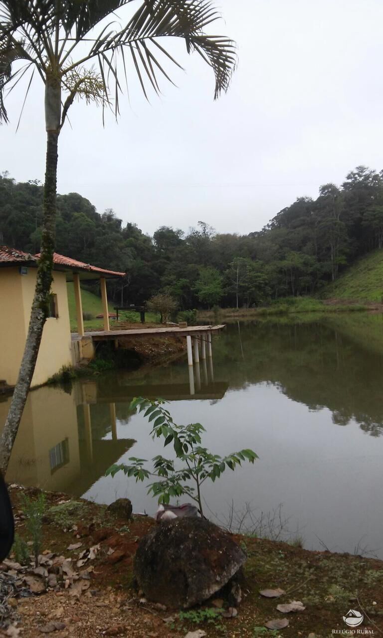 Fazenda à venda com 4 quartos, 3702600m² - Foto 14