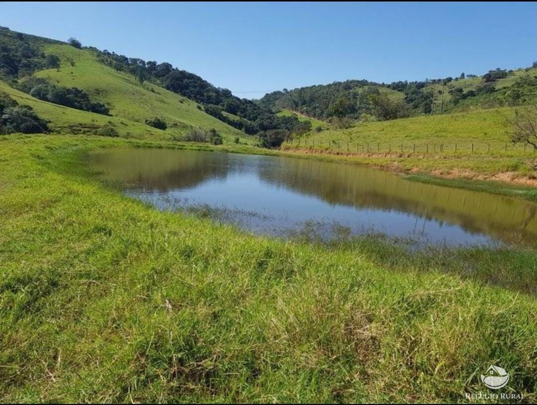 Fazenda à venda com 4 quartos, 3702600m² - Foto 5