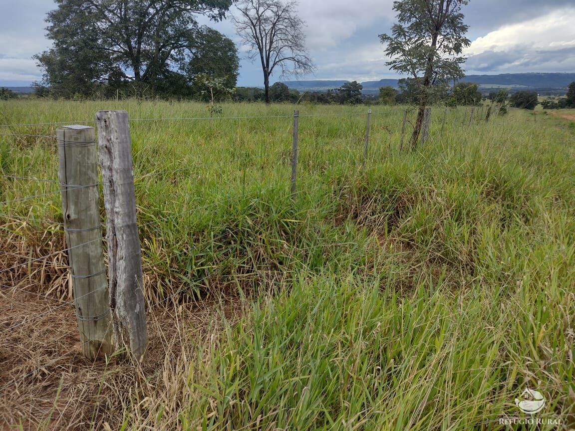 Fazenda à venda com 8 quartos, 87330000m² - Foto 8