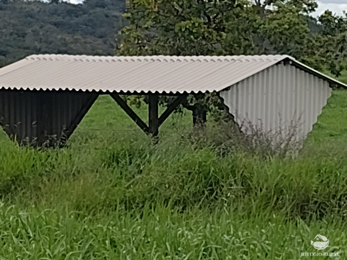 Fazenda à venda com 8 quartos, 87330000m² - Foto 10