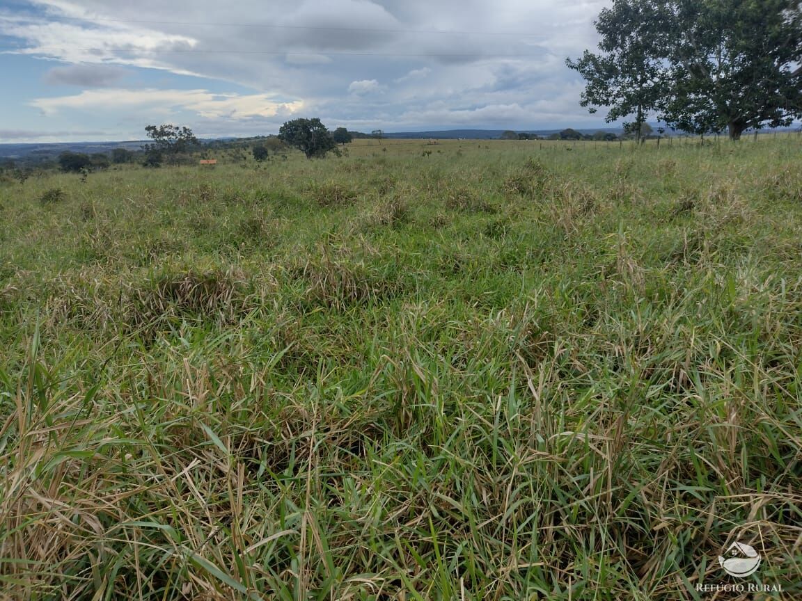 Fazenda à venda com 8 quartos, 87330000m² - Foto 6