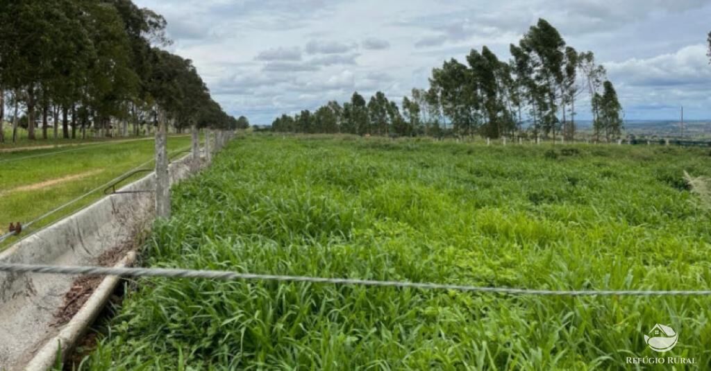 Fazenda à venda com 8 quartos, 87330000m² - Foto 5