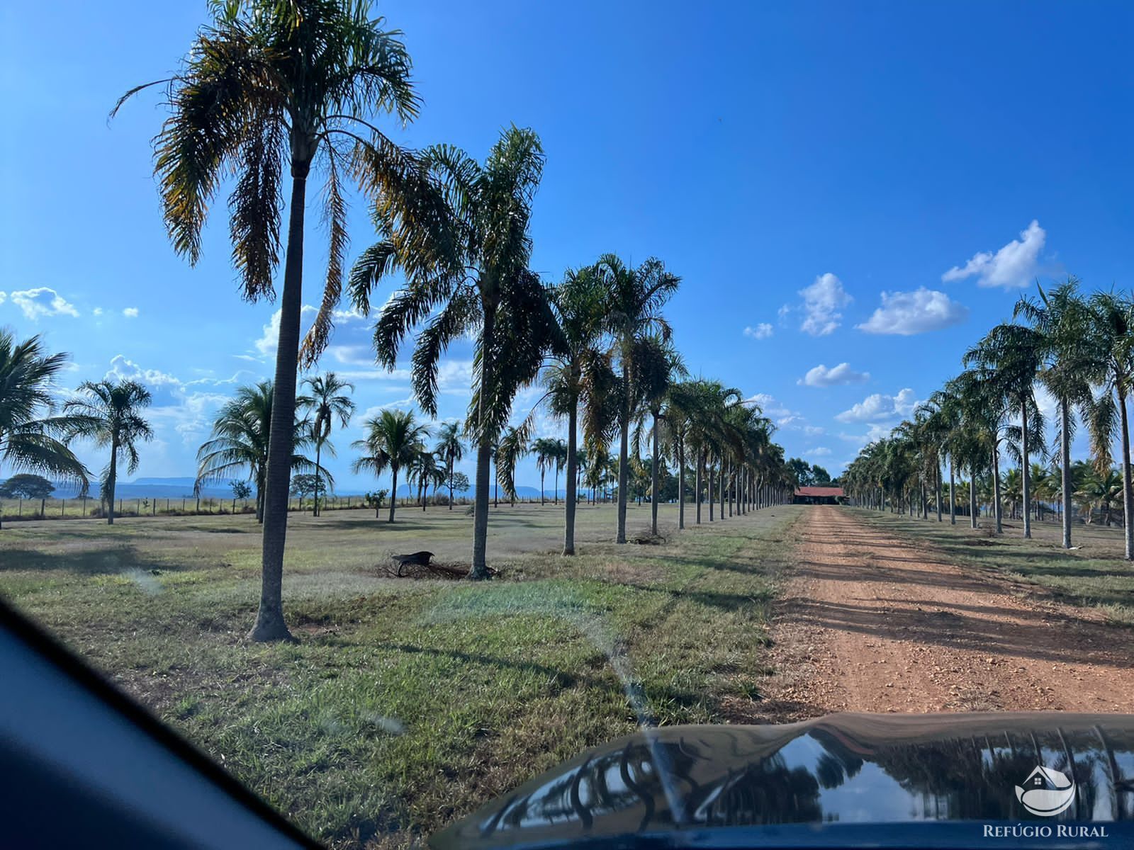 Fazenda à venda com 8 quartos, 87330000m² - Foto 3