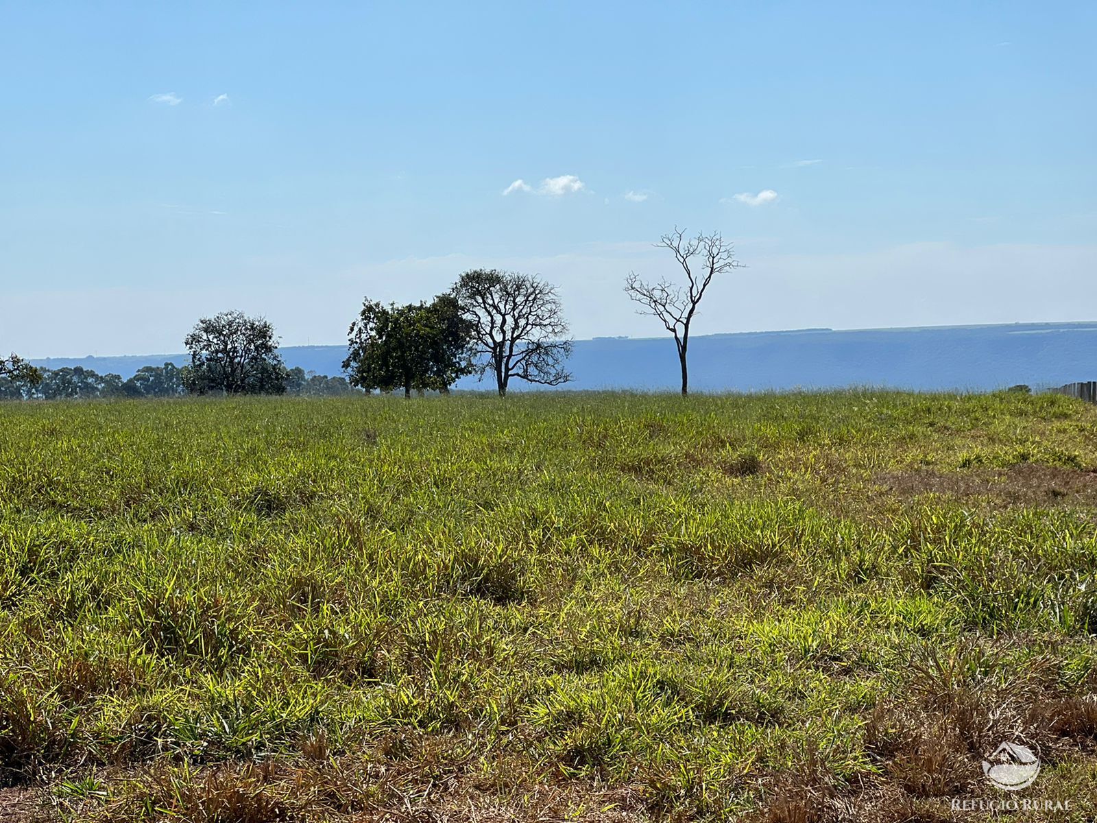 Fazenda à venda com 8 quartos, 87330000m² - Foto 7