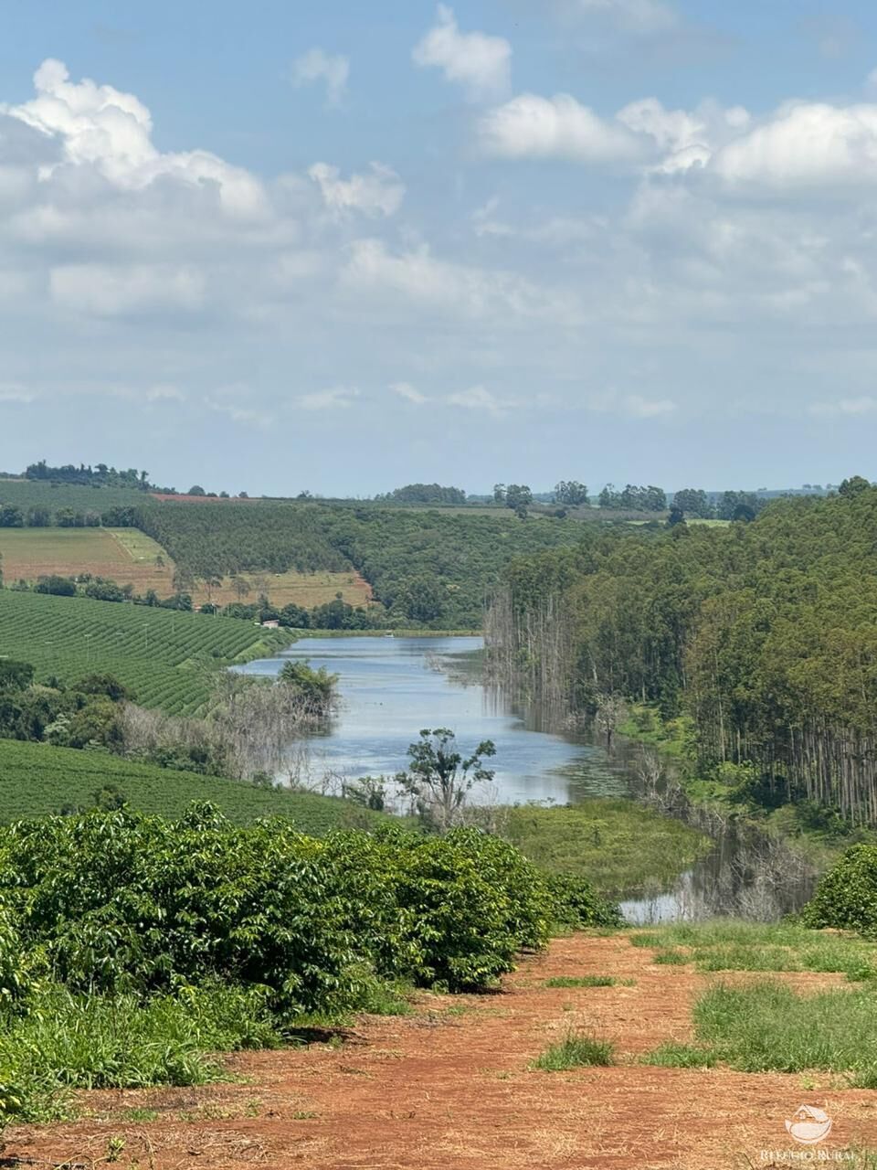 Fazenda à venda com 11 quartos, 6400000m² - Foto 3