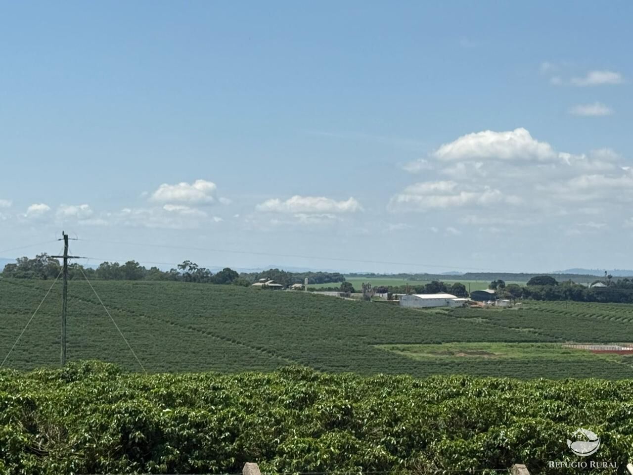 Fazenda à venda com 11 quartos, 6400000m² - Foto 7
