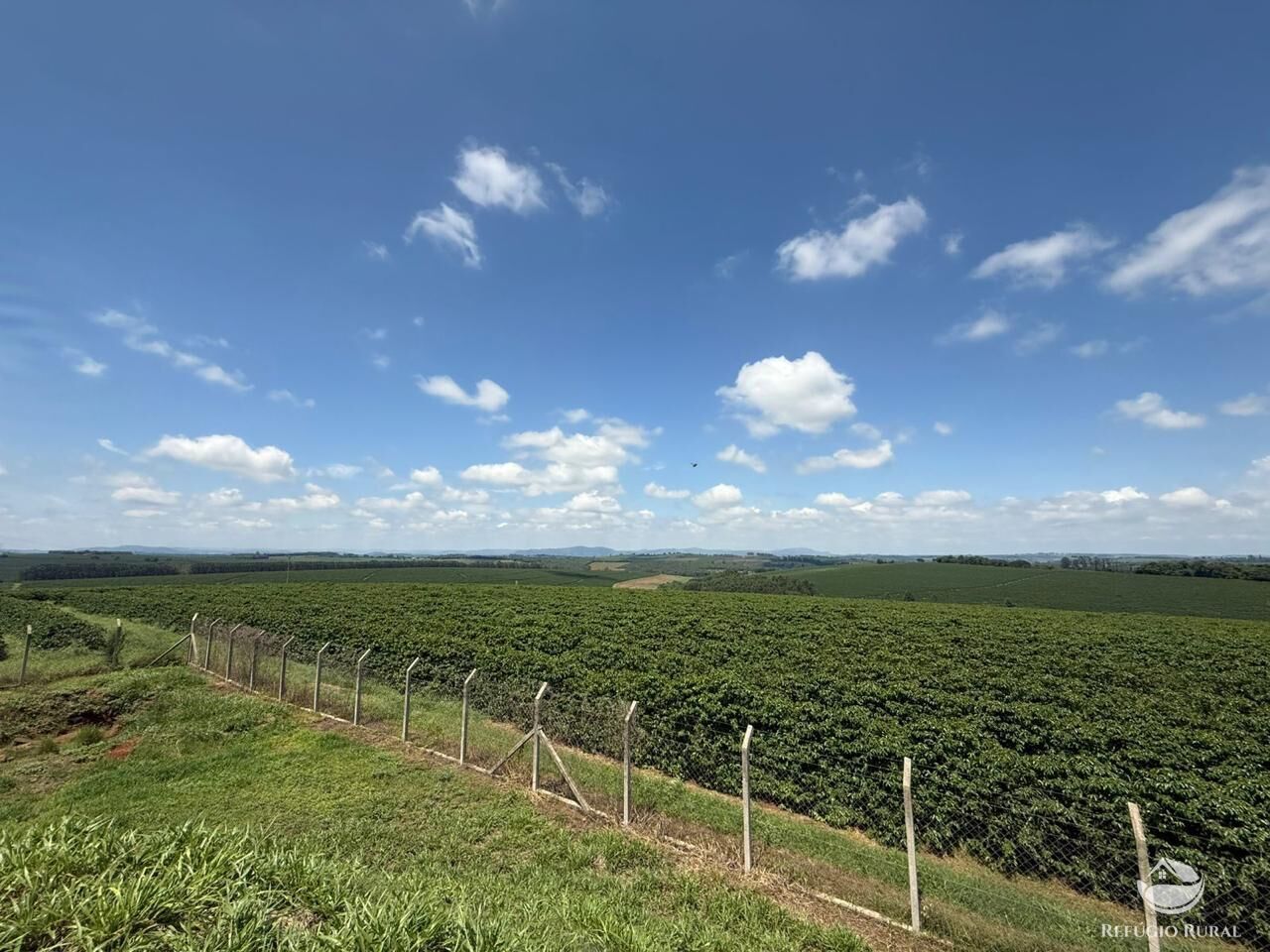 Fazenda à venda com 11 quartos, 6400000m² - Foto 17