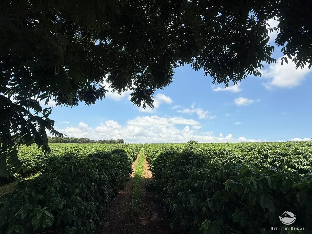 Fazenda à venda com 11 quartos, 6400000m² - Foto 1