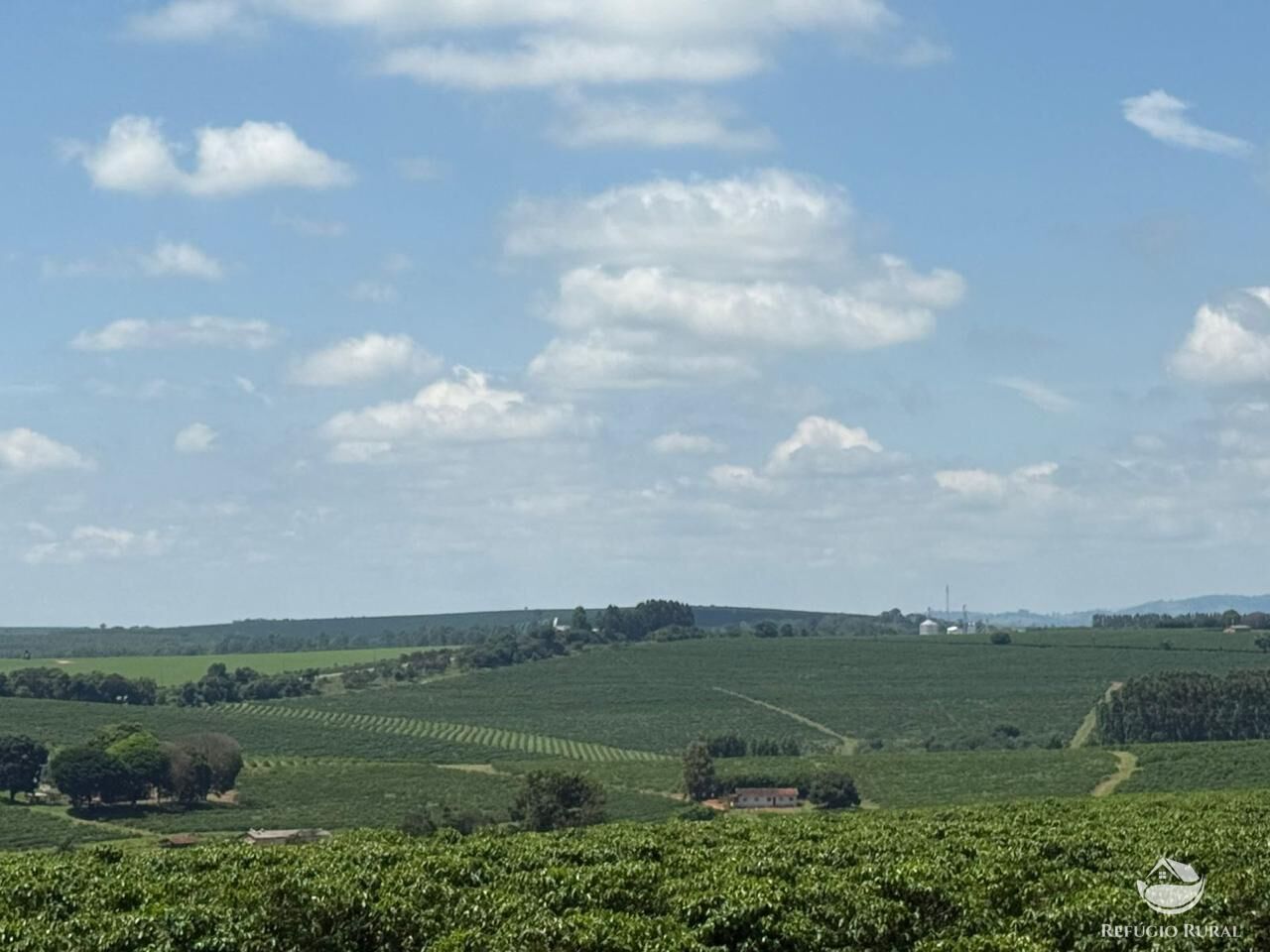 Fazenda à venda com 11 quartos, 6400000m² - Foto 4