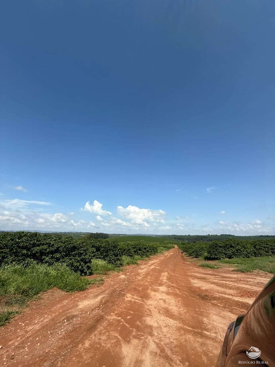 Fazenda à venda com 11 quartos, 6400000m² - Foto 9