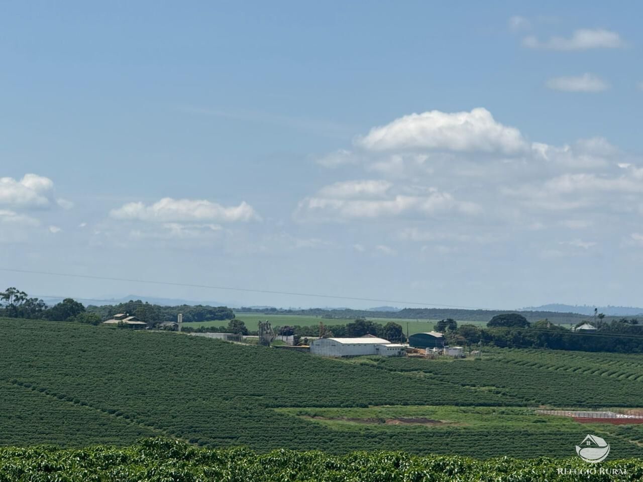 Fazenda à venda com 11 quartos, 6400000m² - Foto 5