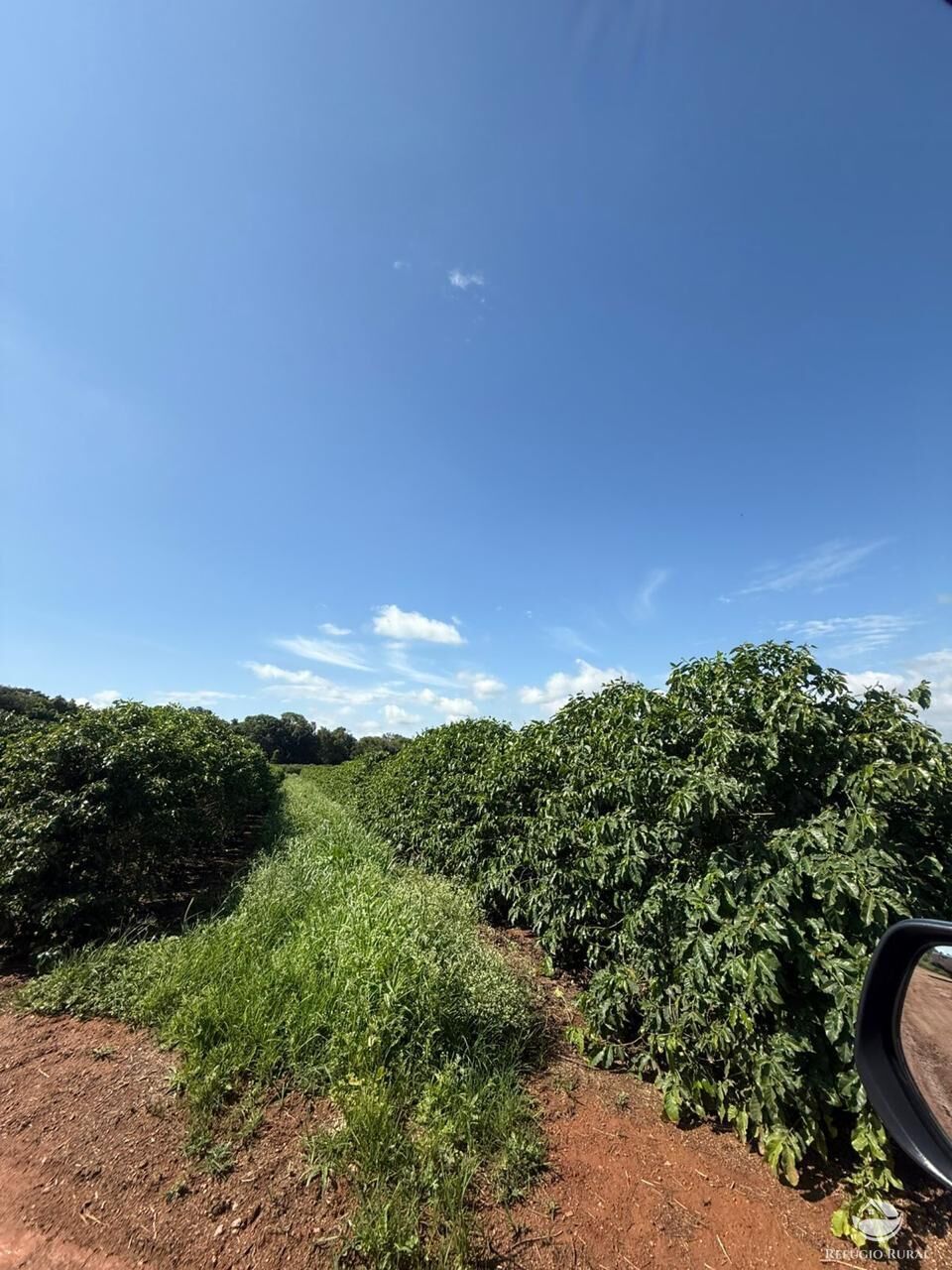 Fazenda à venda com 11 quartos, 6400000m² - Foto 14