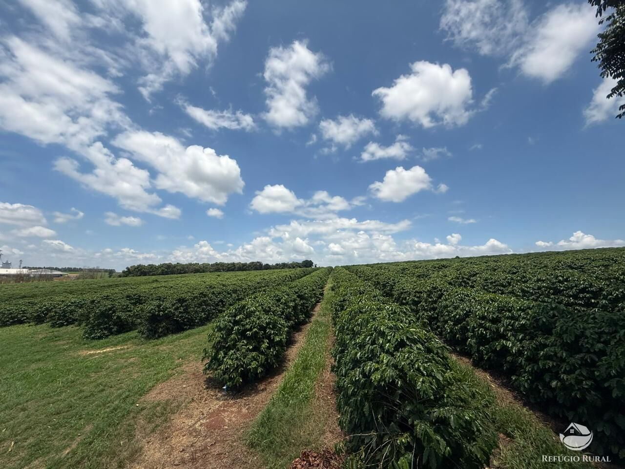 Fazenda à venda com 11 quartos, 6400000m² - Foto 2