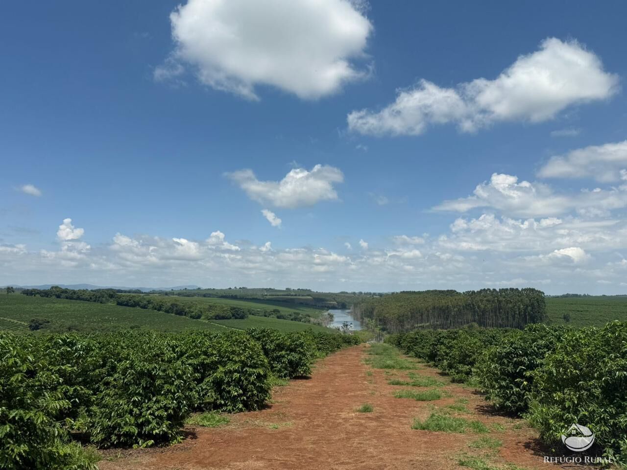 Fazenda à venda com 11 quartos, 6400000m² - Foto 6