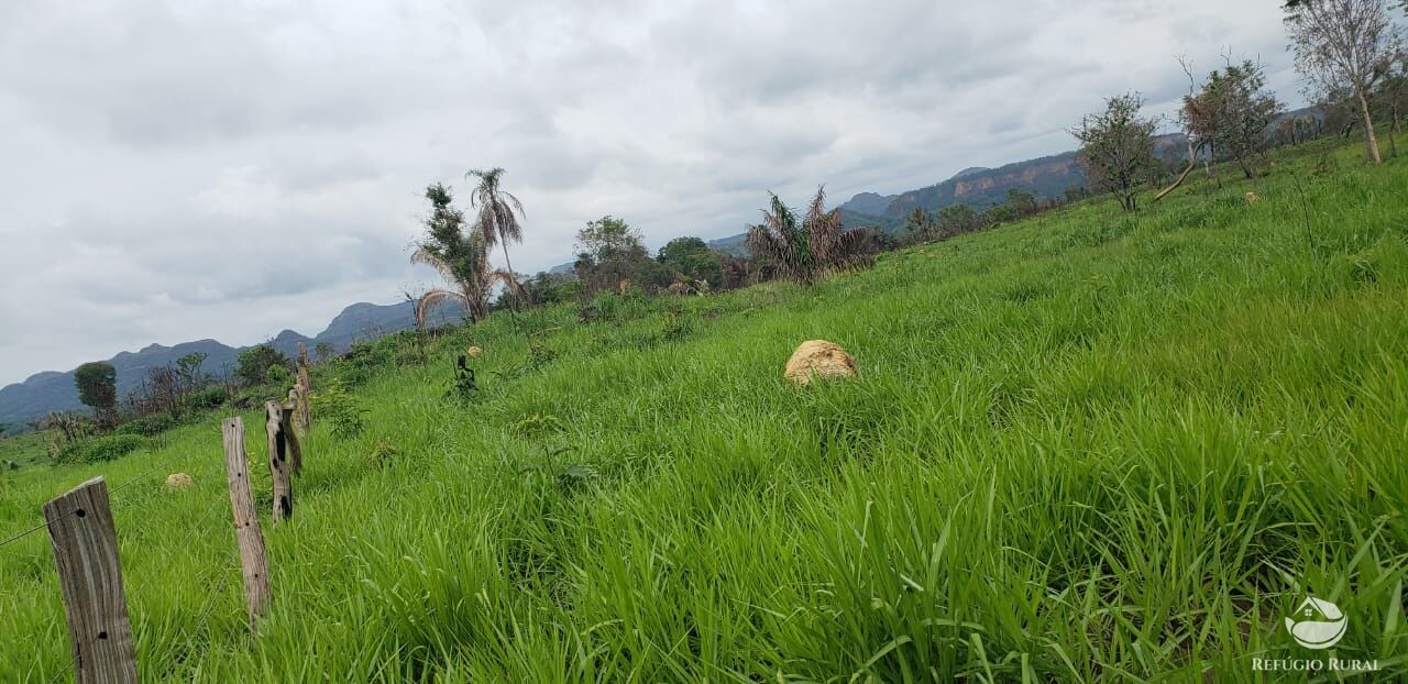 Fazenda à venda com 1 quarto, 56240800m² - Foto 6