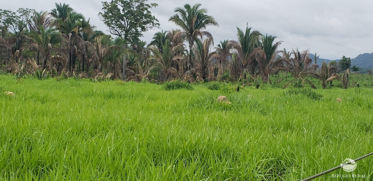 Fazenda à venda com 1 quarto, 56240800m² - Foto 1