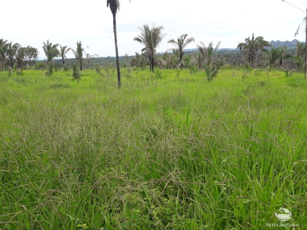 Fazenda à venda com 1 quarto, 56240800m² - Foto 12