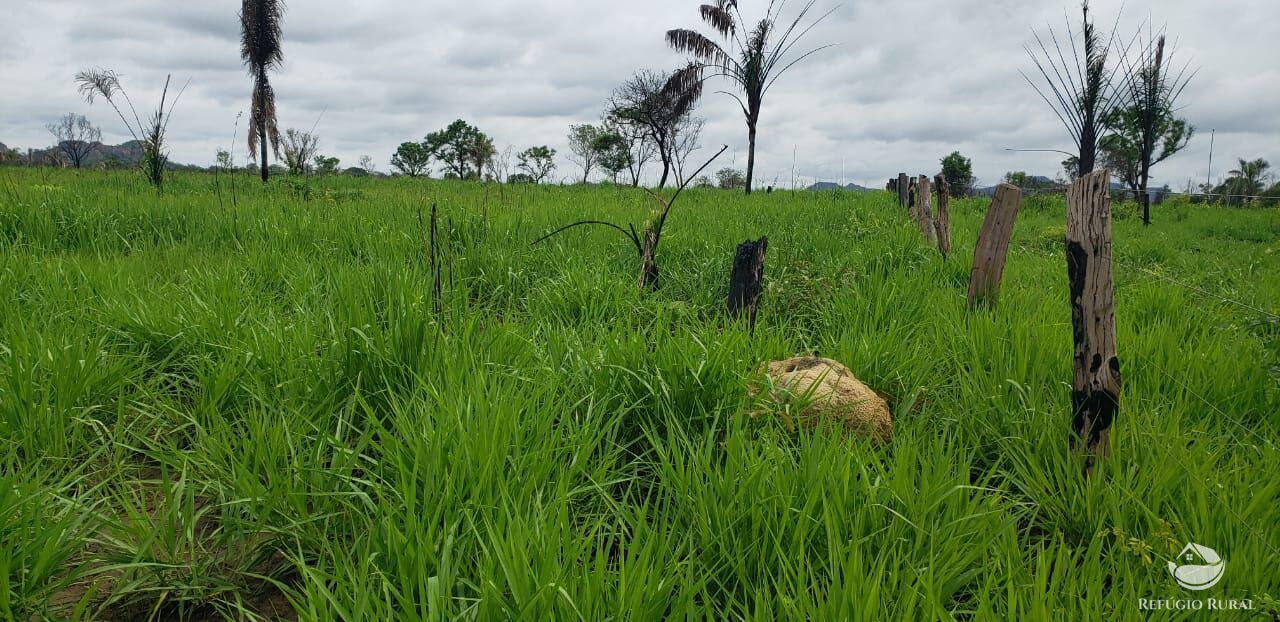 Fazenda à venda com 1 quarto, 56240800m² - Foto 9