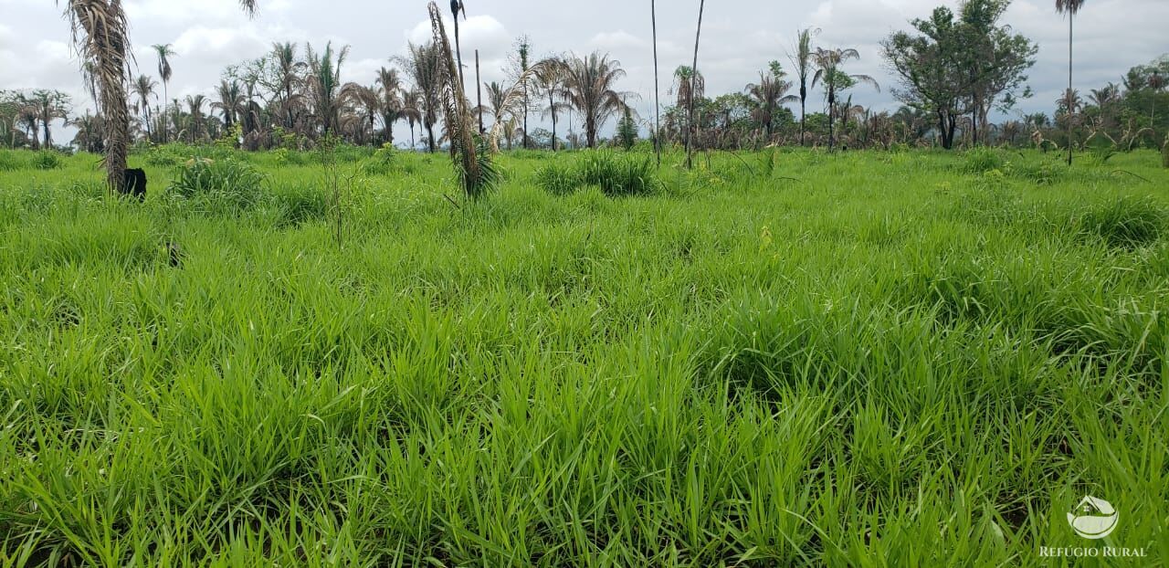 Fazenda à venda com 1 quarto, 56240800m² - Foto 10