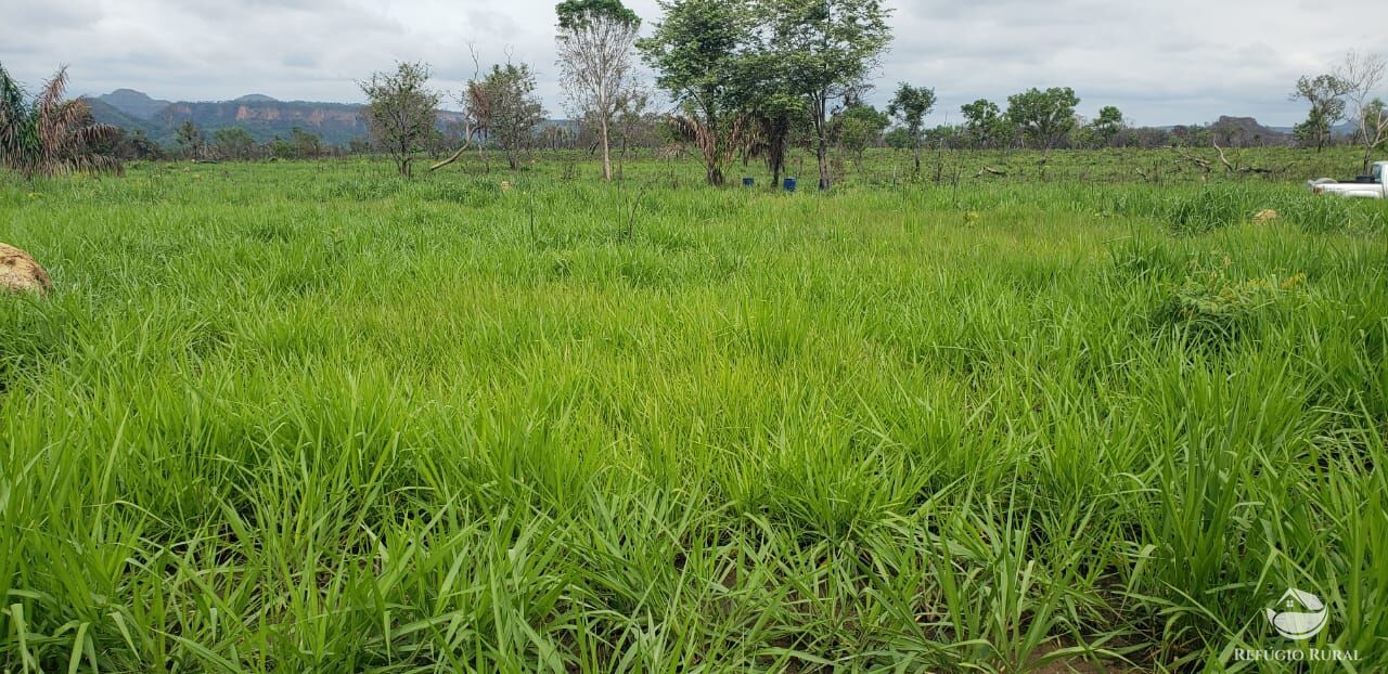 Fazenda à venda com 1 quarto, 56240800m² - Foto 2