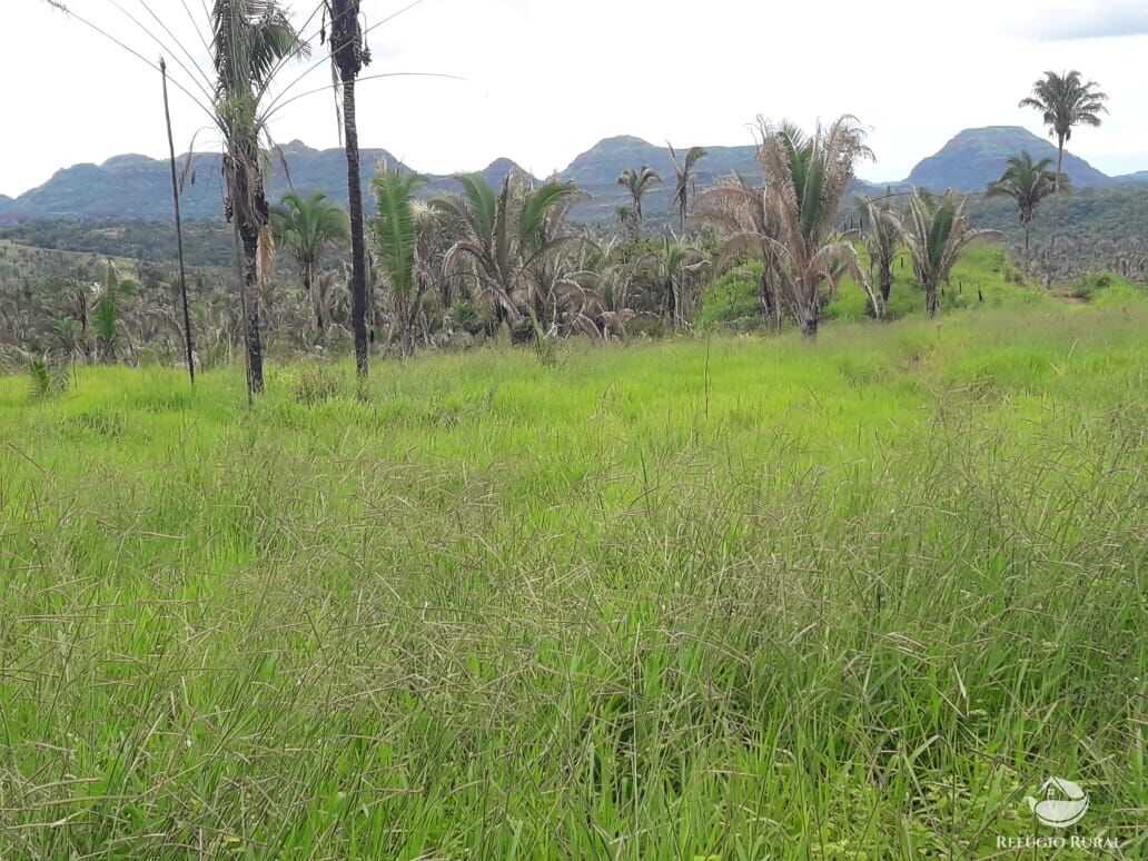 Fazenda à venda com 1 quarto, 56240800m² - Foto 3
