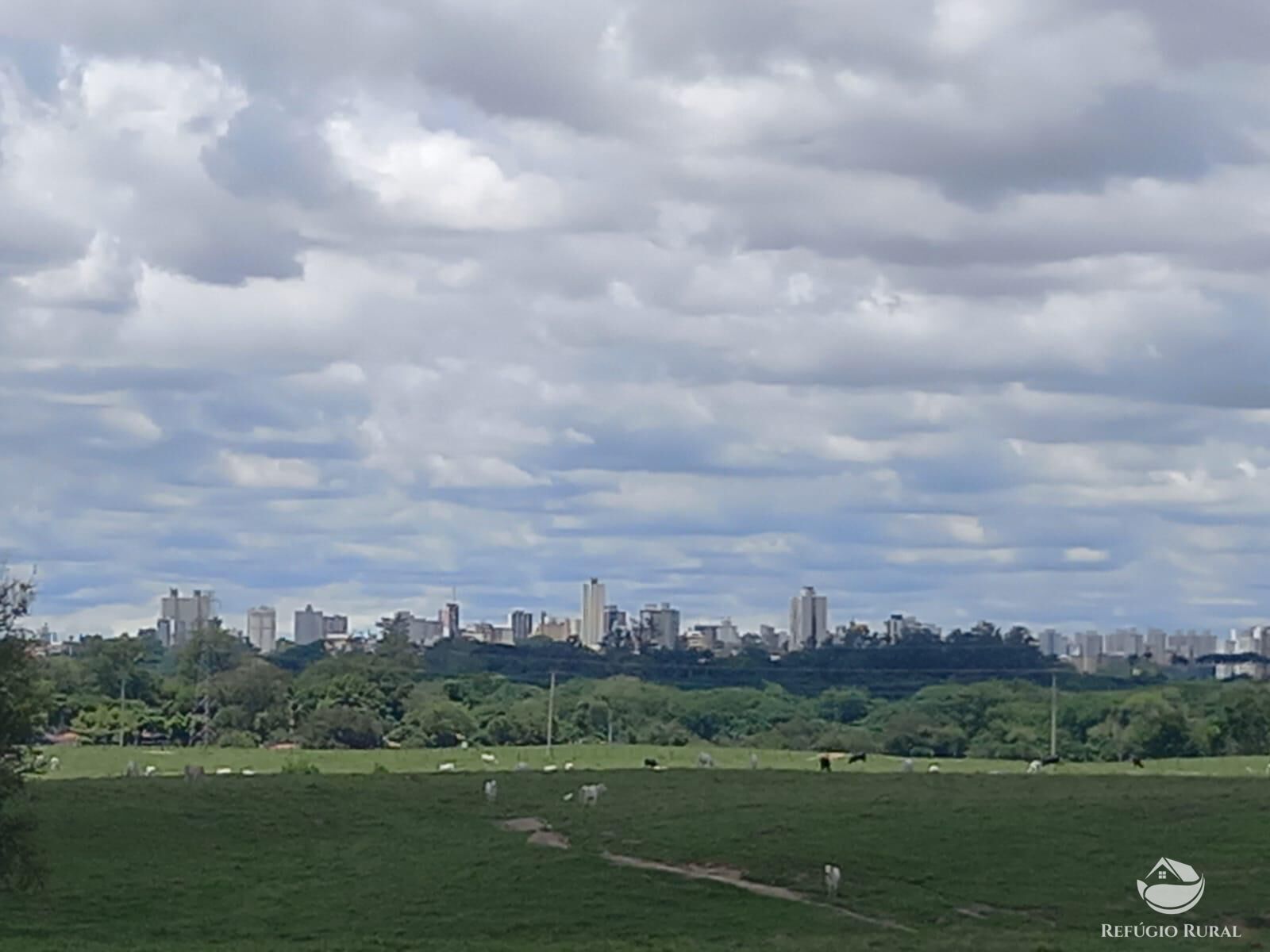 Fazenda à venda com 3 quartos, 484000m² - Foto 14