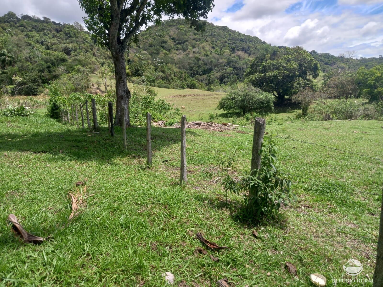 Fazenda à venda com 3 quartos, 484000m² - Foto 23