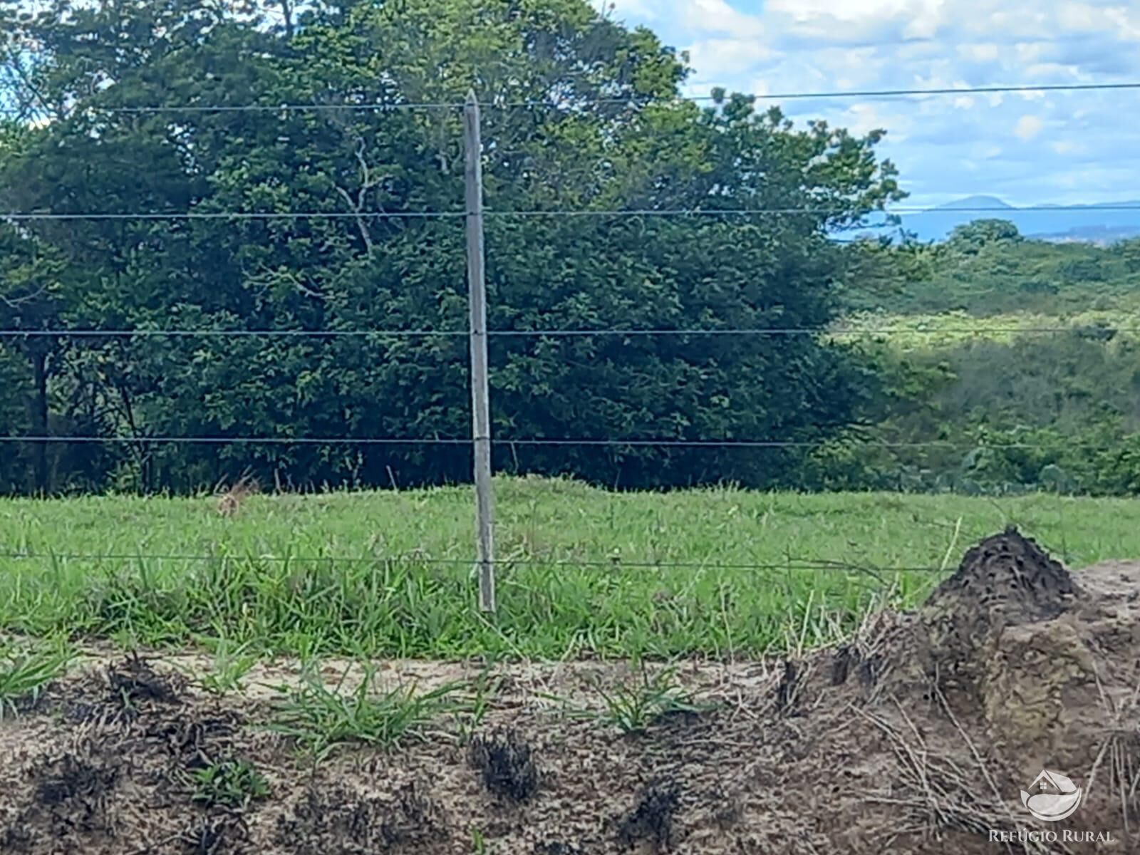 Fazenda à venda com 3 quartos, 484000m² - Foto 19