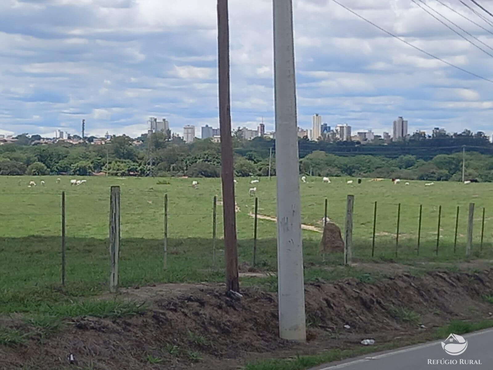 Fazenda à venda com 3 quartos, 484000m² - Foto 17