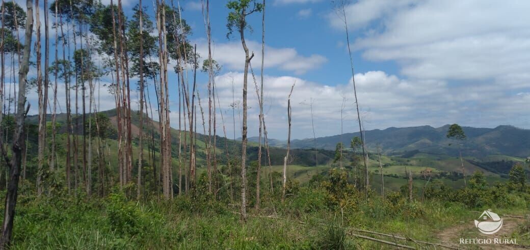 Terreno à venda, 20000m² - Foto 14