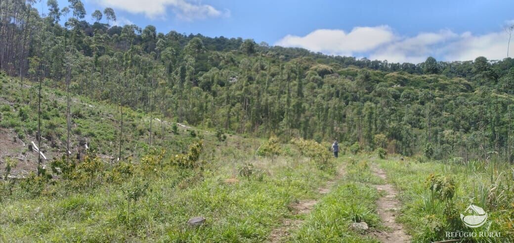 Terreno à venda, 20000m² - Foto 3