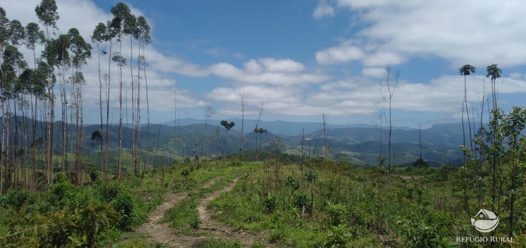 Terreno à venda, 20000m² - Foto 4