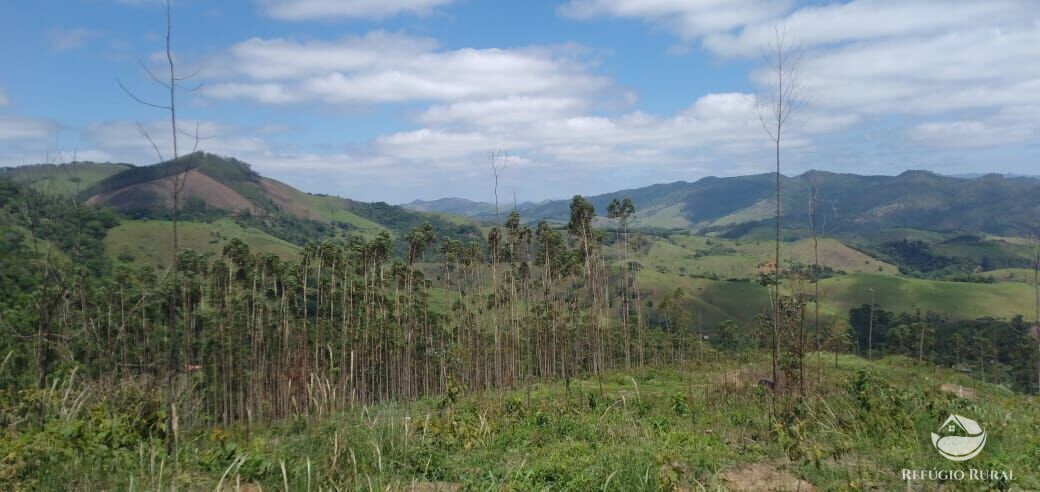 Terreno à venda, 20000m² - Foto 1