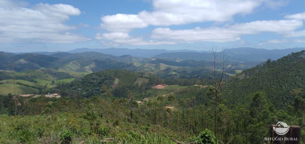 Terreno à venda, 20000m² - Foto 2