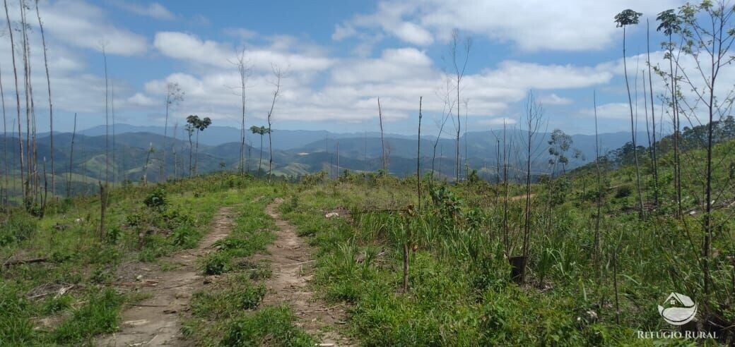 Terreno à venda, 20000m² - Foto 7