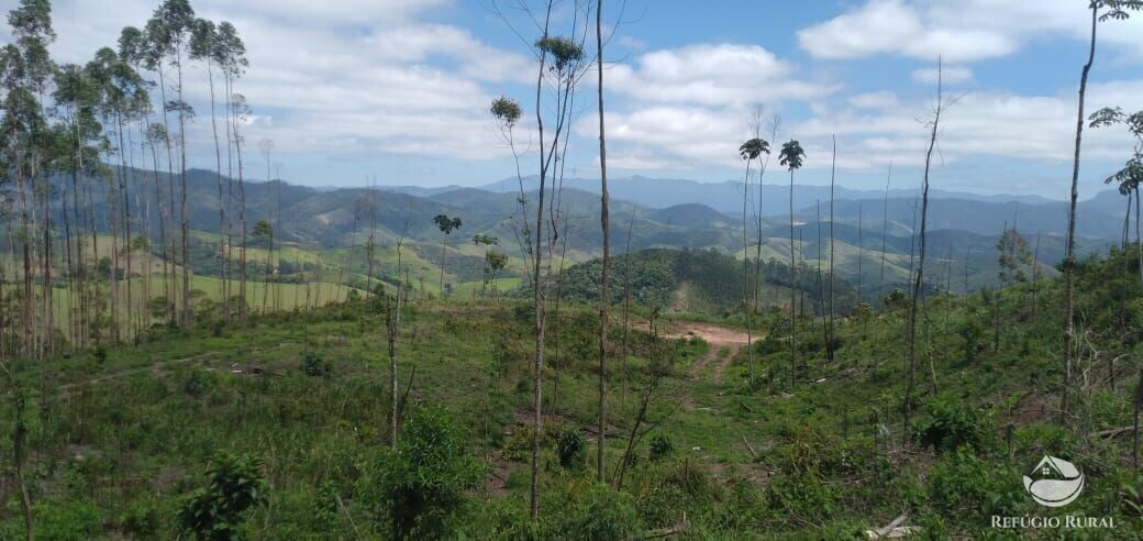 Terreno à venda, 20000m² - Foto 9