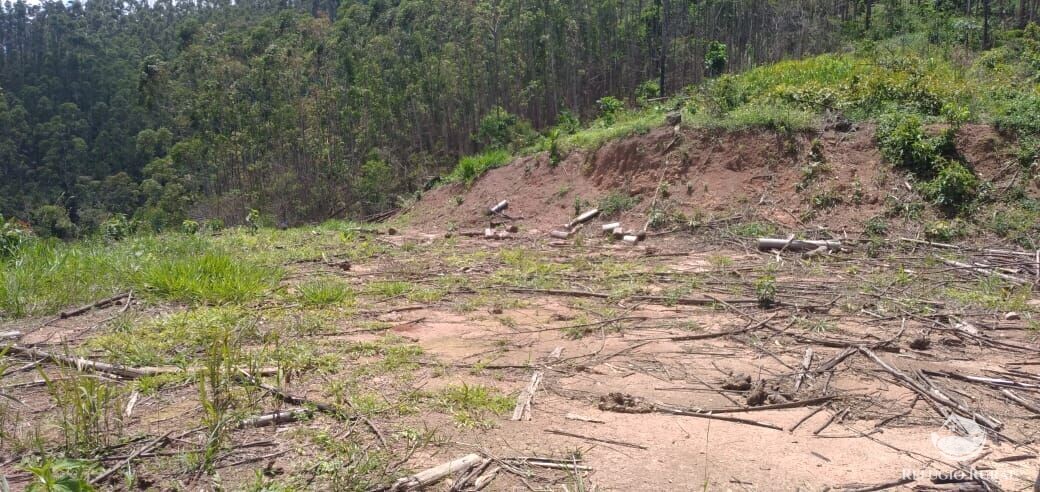 Terreno à venda, 20000m² - Foto 5