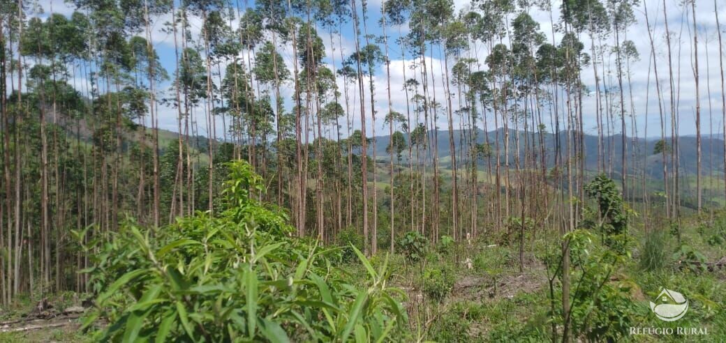 Terreno à venda, 20000m² - Foto 8