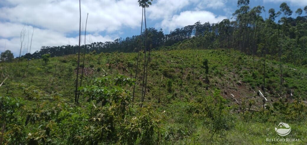 Terreno à venda, 20000m² - Foto 12