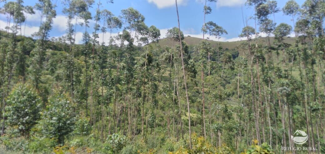 Terreno à venda, 20000m² - Foto 6