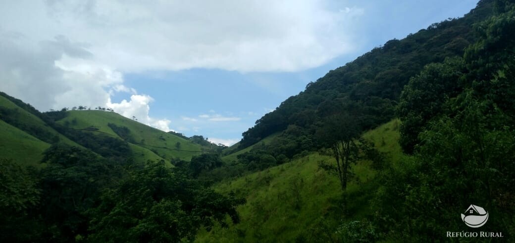 Terreno à venda, 36300m² - Foto 2