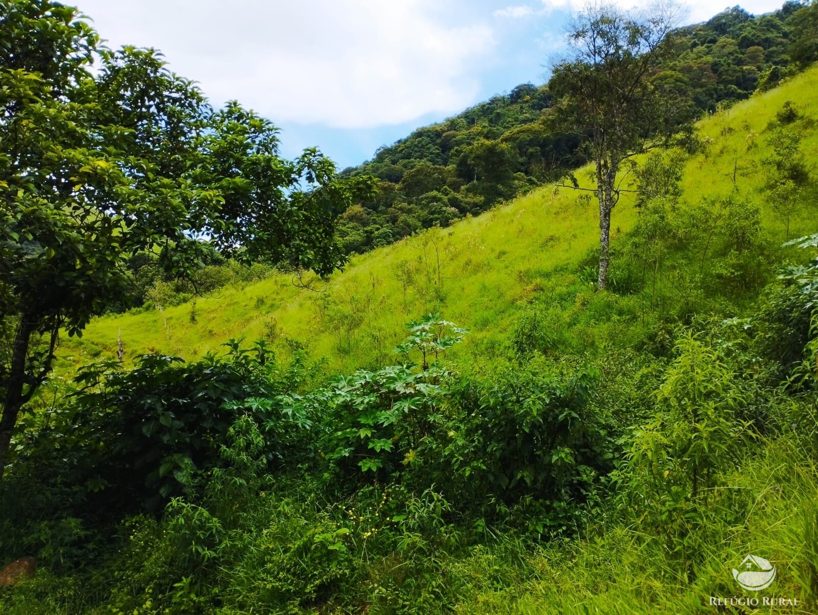 Terreno à venda, 36300m² - Foto 1