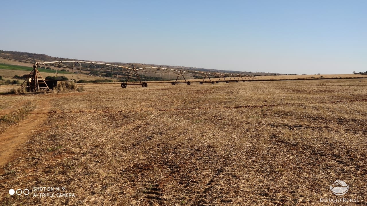 Fazenda à venda com 4 quartos, 7000000m² - Foto 39