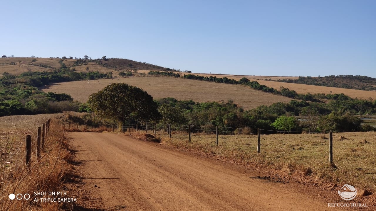 Fazenda à venda com 4 quartos, 7000000m² - Foto 47